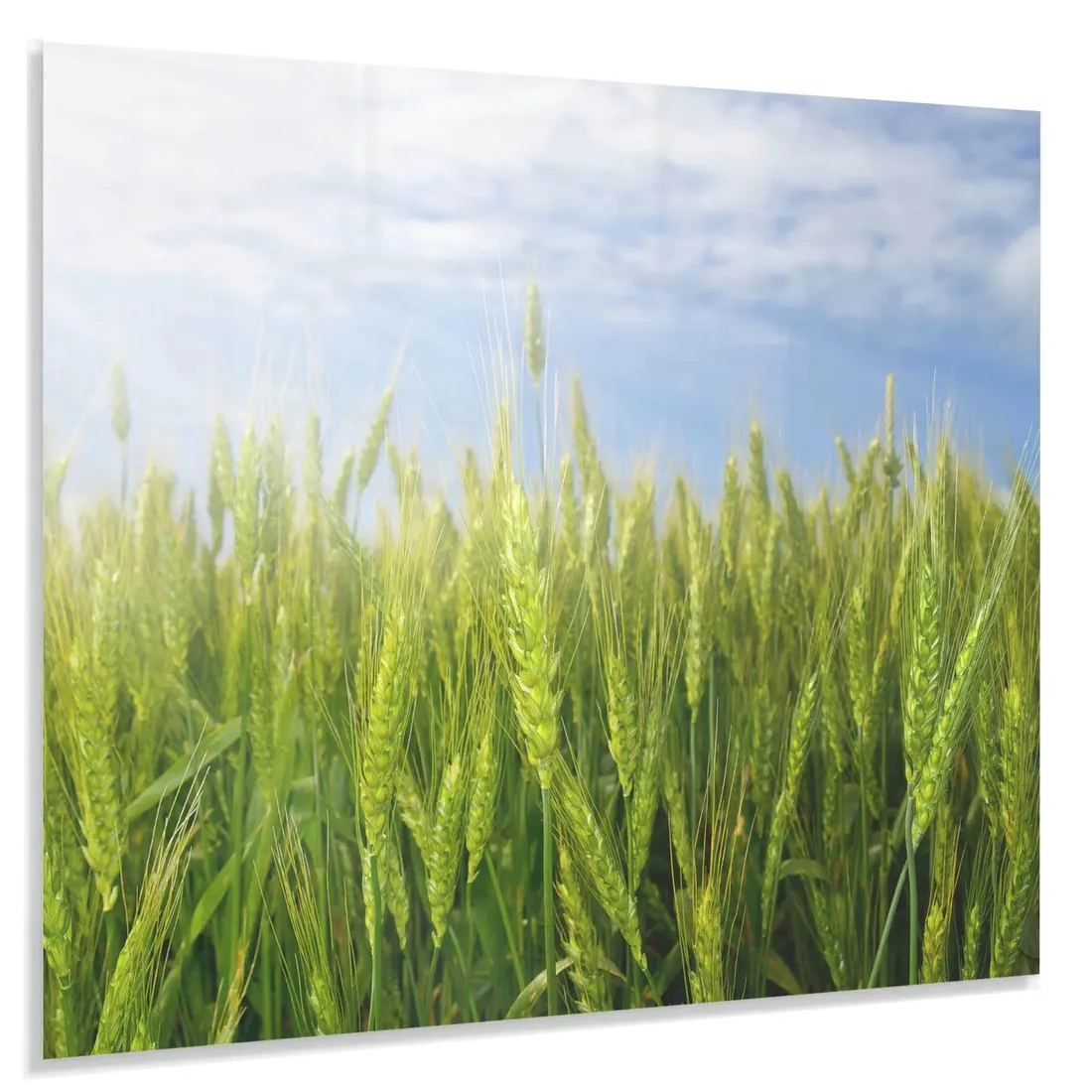 hartowany-panel-kuchenny-60x50cm-gratis