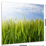 hartowany-panel-kuchenny-60x50cm-gratis-stan-nowy