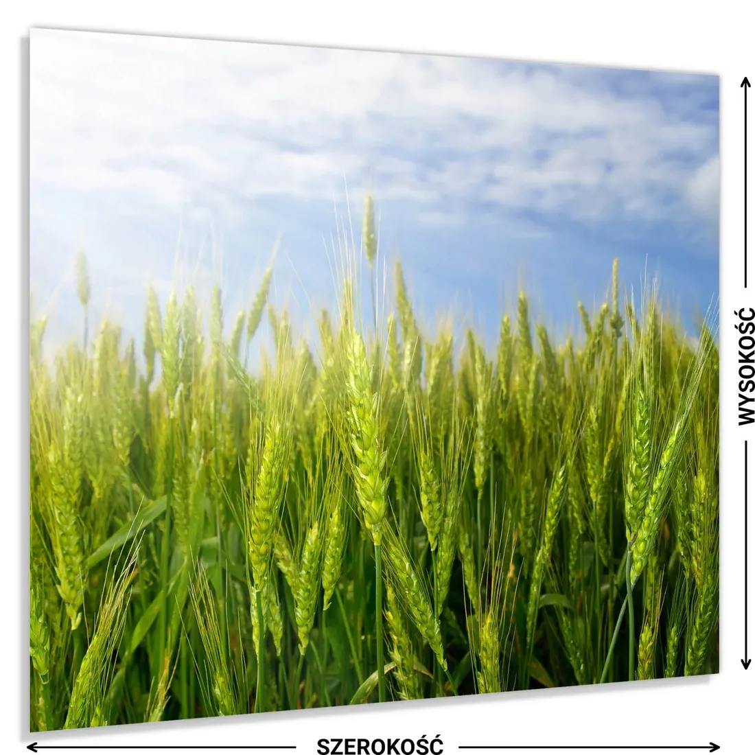 hartowany-panel-kuchenny-60x50cm-gratis