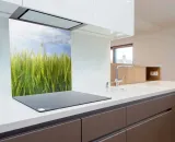 hartowany-panel-kuchenny-60x50cm-gratis-dlugosc-50-cm