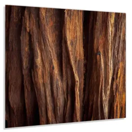 panel-szklany-hartowany-60x50-kora-drzewa-klej