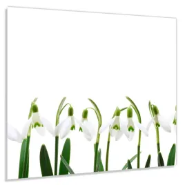 panel-szklany-hartowany-60x50-przebisniegi-klej