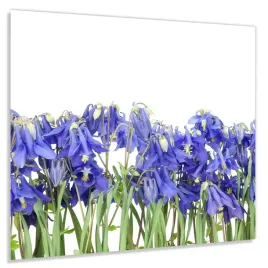 panel-szklany-hartowany-60x50-fioletowy-hiacynt