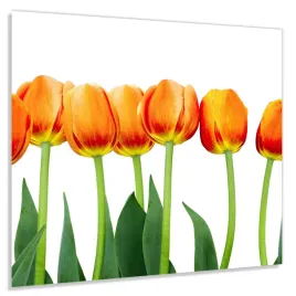 panel-szklany-hartowany-60x50-tulipany-klej