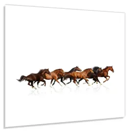 panel-szklany-hartowany-60x60-galopujace-konie
