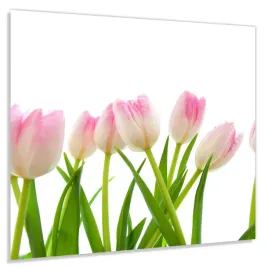 panel-szklany-hartowany-60x50-rozowe-tulipany