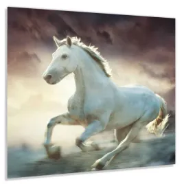 panel-szklany-hartowany-60x50-bialy-kon-we-mgle