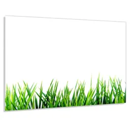 panel-szklany-hartowany-100x50-zielona-trawa