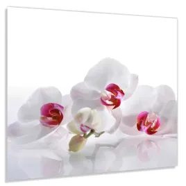 panel-szklany-hartowany-60x60-biale-storczyki