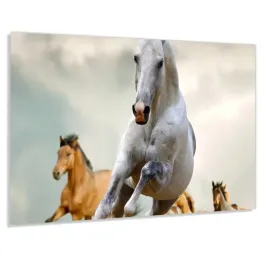 panel-szklany-hartowany-100x50-galopujace-konie