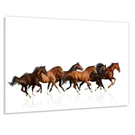 panel-szklany-hartowany-100x50-galopujace-konie