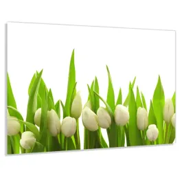 panel-szklany-hartowany-100x50-biale-tulipany
