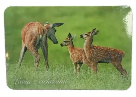 mysliwski-magnes-na-lodowke-lania-z-cielakami