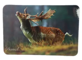 mysliwski-magnes-na-lodowke-daniel