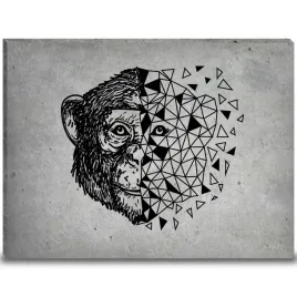 ozdobna-plyta-betonowa-43x32-kreatywne-modele-dla-kazdego-ciekawe-wzory