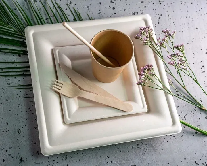 zestaw-z-trzciny-cukrowej-kwadratowy-braz-12-osob