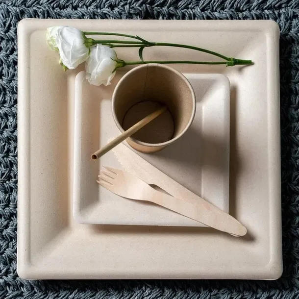 zestaw-z-trzciny-cukrowej-kwadratowy-braz-12-osob-liczba-sztuk-w-zestawie-72-szt