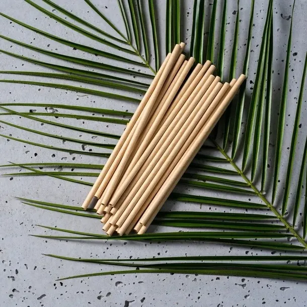 zestaw-z-trzciny-cukrowej-kwadratowy-braz-12-osob-stan-nowy-marka-ekoparty