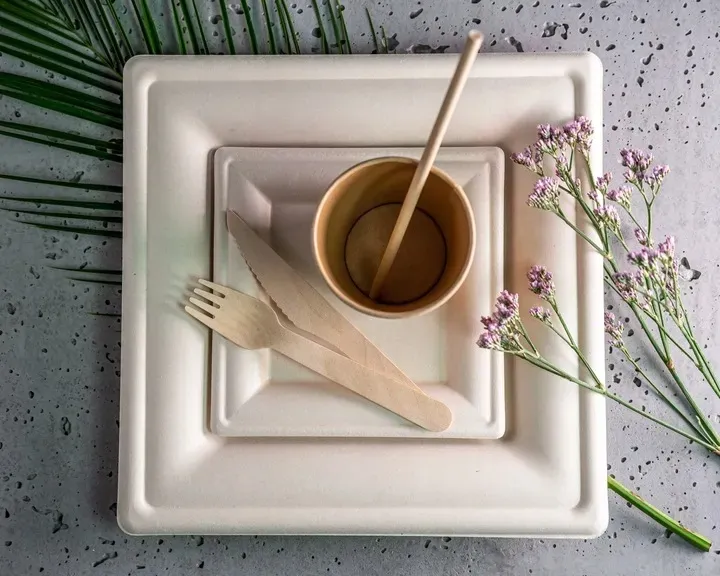 zestaw-z-trzciny-cukrowej-kwadratowy-braz-12-osob-stan-nowy-liczba-sztuk-w-zestawie-72-szt