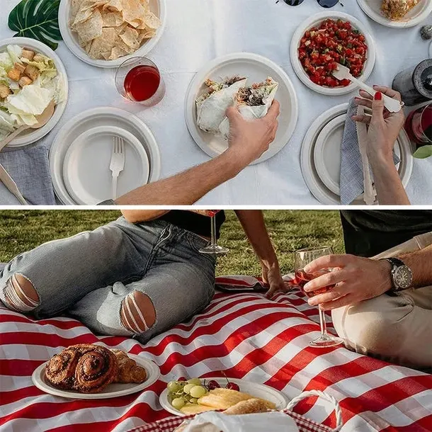 zestaw-na-grilla-piknik-talerze-jednorazowe-12-os-kod-producenta-inna