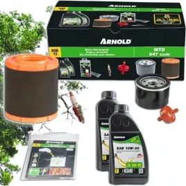 zestaw-serwisowy-do-silnika-thorx-cub-cadet-mtd