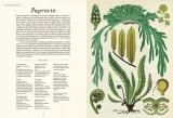 botanicum-stan-nowy