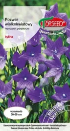nasiona-rozwar-wielkokwiatowy-niebieski-02g-torseed