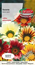 nasiona-gazania-mieszanka-nasiona-otarte-1g-torseed