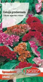 nasiona-celozja-grzebieniasta-mieszanka-05g-torseed