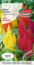 nasiona-celozja-pierzasta-mieszanka-1g-torseed