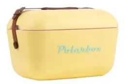 lodowka-na-plaze-piknik-na-wklady-retro-stylowa