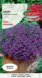 nasiona-lobelia-stroiczka-modrofioletowa-02g-torseed