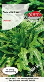 nasiona-salata-lisciowa-do-uprawy-w-polu-dubacek-05g-torseed