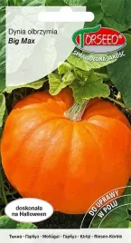 nasiona-dynia-olbrzymia-big-max-3g-torseed