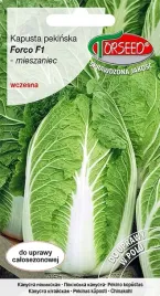 nasiona-kapusty-pekinskiej-torseed-forco-f1-torseed