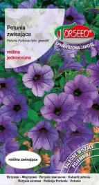 nasiona-petunia-fortunia-zwisajaca-fioletowe-002g-torseed