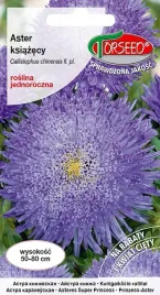 nasiona-aster-wysoki-ksiazecy-niebieskofioletowy-05g-torseed