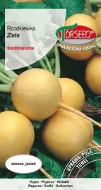 nasiona-rzodkiewka-do-uprawy-w-polu-zlata-5g-torseed-zolta-rzodkiewka