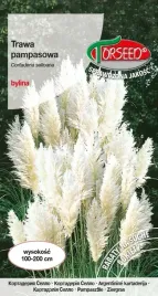 nasiona-trawa-pampasowa-biala-01g-torseed