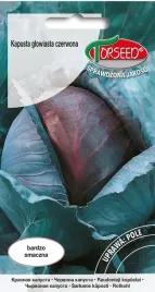 nasiona-kapusta-glowiasta-czerwona-langedijker-dauer-2-1g-torseed