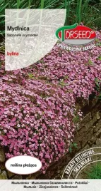 nasiona-mydlnica-rozowoczerwona-05g-torseed