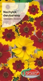 nasiona-nachylek-dwubarwny-zolty-z-brazowym-srodkiem-2g-torseed