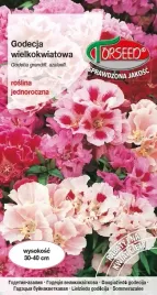 nasiona-godecja-wielkokwiatowa-mieszanka-1g-torseed