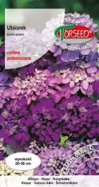 nasiona-ubiorek-rozowy-torseed