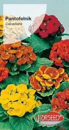 nasiona-pantofelnik-mieszanka-torseed