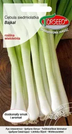 nasiona-cebula-siedmiolatka-bajkal-05g-torseed