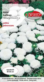 nasiona-aster-karlowy-bialy-05g-torseed