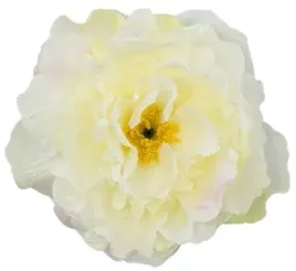 kremowa-piwonia-peonia-sztuczny-kwiat-glowka-15-cm-ozdoba-stroik-dekoracja