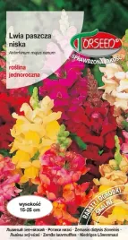 nasiona-lwia-paszcza-niska-mieszanka-1g-torseed
