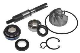 reperaturka-pompy-wody-rms-honda-nes-125-150-00-06-panheon-125-150-4t